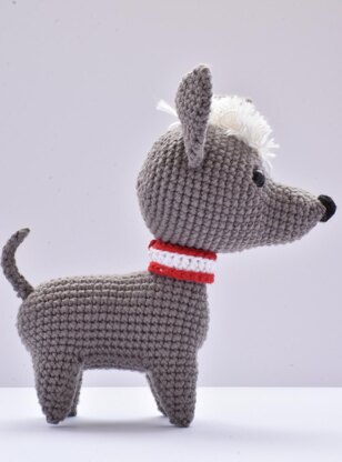 Peruvian Dog