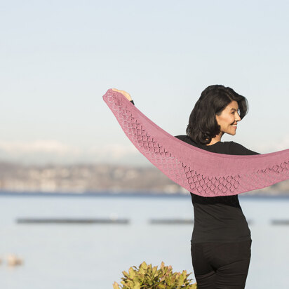 Bordeaux Trellis Shawl in Cascade Yarns Heritage Solids - FW265 - Downloadable PDF