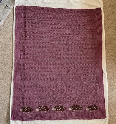 Layla's Hedgehog Baby Blanket