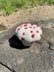 Bleeding Tooth Mushroom Plush