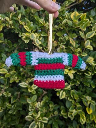 Mini sweater (jumper)