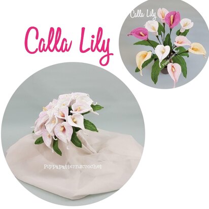 Calla Lily