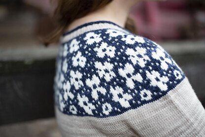 Philadelphus Pullover