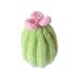 Cactus Egg Cosy