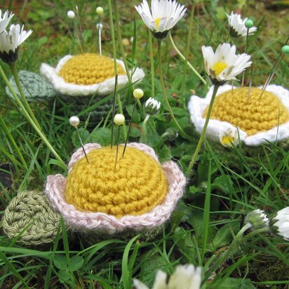 Daisy, Daisy Pincushion