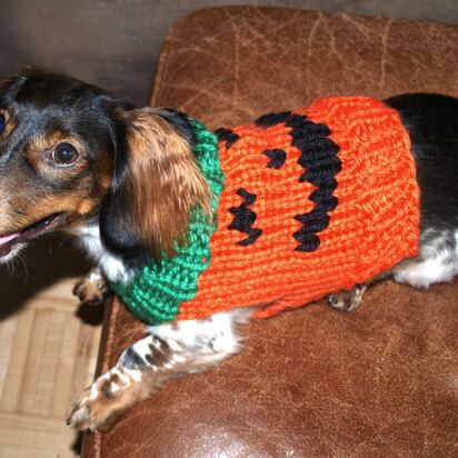 Jack-O-Lantern Dog Sweater in Lion Brand Hometown USA - L32211 - knitting pattern