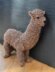 Alpaca