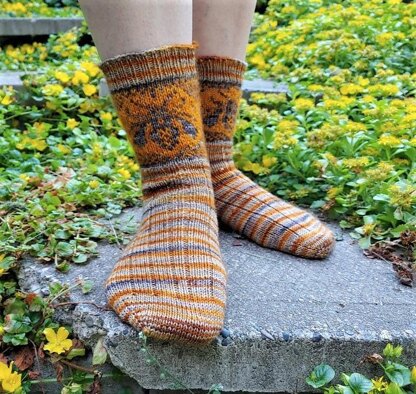 Hymenoptera Socks