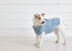 Denim Coat - Dog Jumper Knitting Pattern For Pets in Debbie Bliss Cotton Denim DK by Debbie Bliss