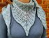 Double Lattice and Lace Shawl