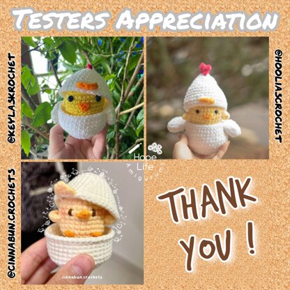 Chick in Chicken Egg