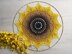Total Eclipse Mandala