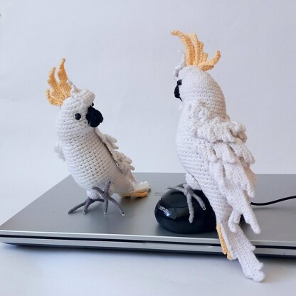 Cockatoo Parrot