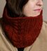 Rhonda in Midwinter Cowl