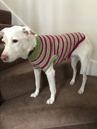 Striped dog sweater