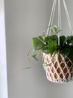 Bloom Hanging Basket