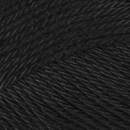 Jet Black (110)