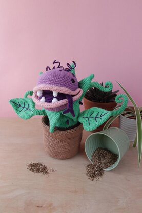 Clarence The Peckish Plant