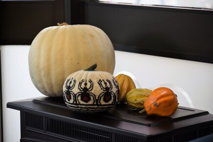 Spider Colorwork Pumpkin #3