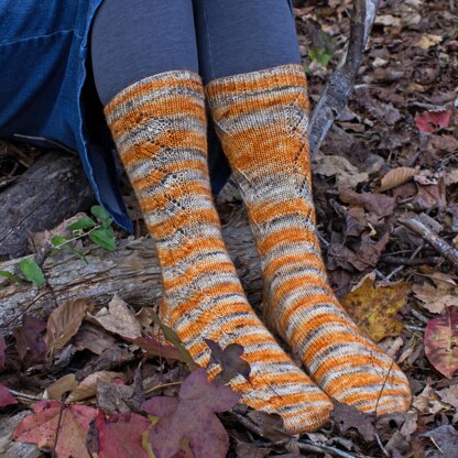 Autumnal Socks