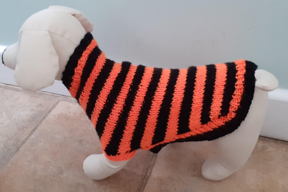 Halloween dog clearance jumper