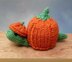 Pumpkin Tortoise - Chocolate Orange Cover