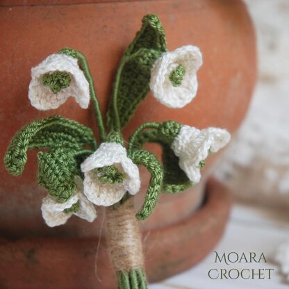 Snowdrop Flowers