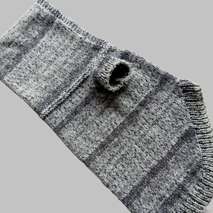 Rockies Hoodie Dog Coat