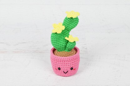 Flowering Cactus