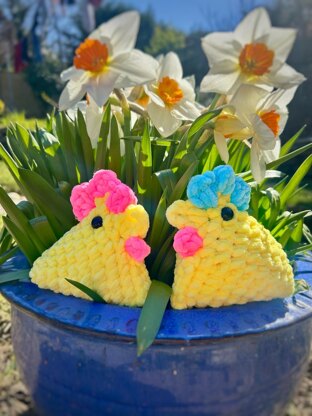Sally The Spring Chicken
