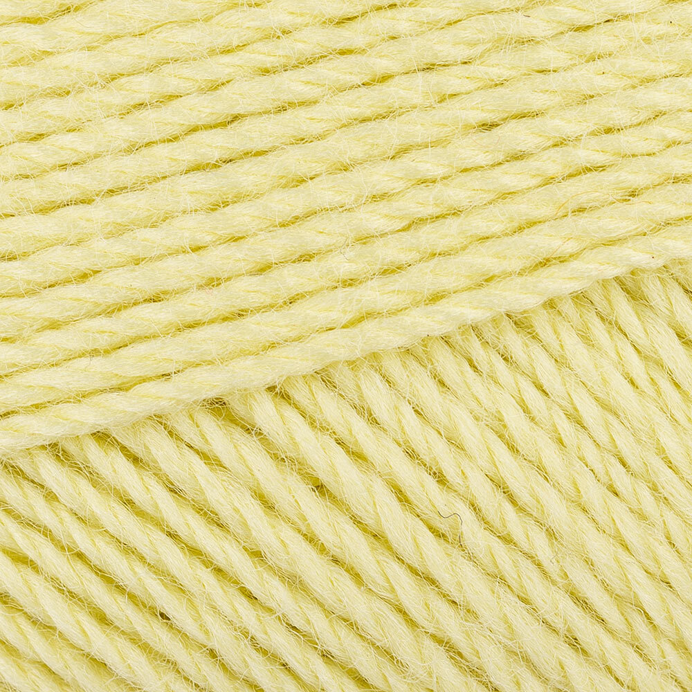 Energised Lemon (102)