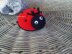 Amigurumi Ladybugs