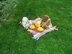 Feathering the Nest, Baby Blanket