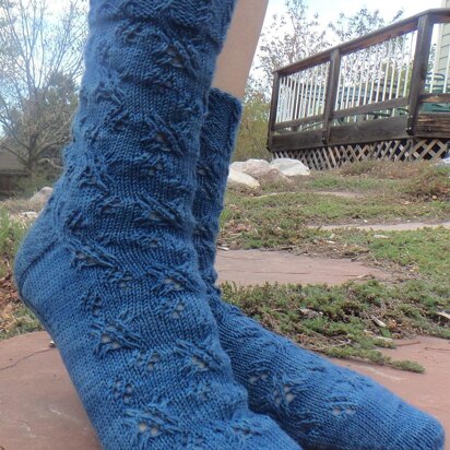 Shining Star Socks - knitting pattern