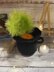 Light-up Witches Cauldron & Broomstick Chocolate Orange Cover Knitting Pattern