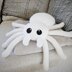 Couch Potato Spider