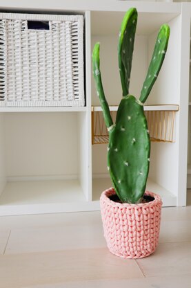 The Cactus Cozy