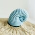 Crochet seashell, amigurumi shell, Seashells collection