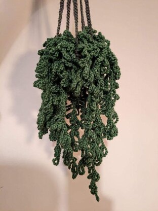 Hanging happiness plant