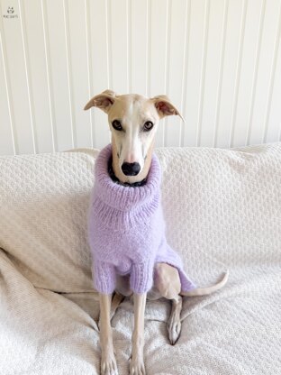 Doggo no 9 sweater