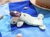 Turtle Sunglasses Case