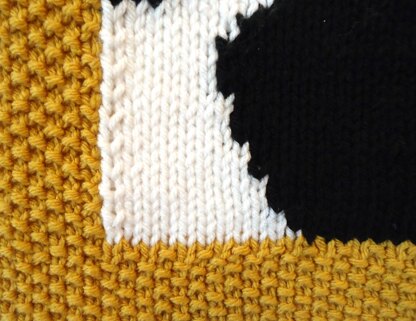 Foxy Baby Blanket