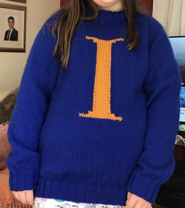 Childs 'Harry potter' style jumper