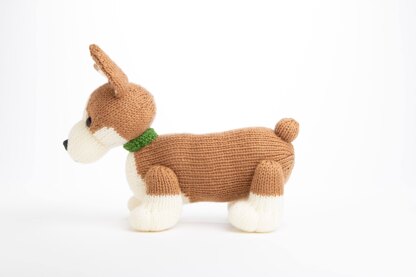 Pembroke Welsh Corgi in Deramores Studio DK - Downloadable PDF