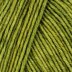 Olive (7361)