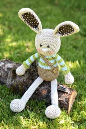 Long-ear Rabbit