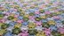 Flower afghan