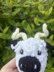 Valais Black Nose Sheep