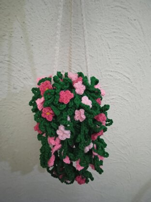 Snowtopia hanging plant