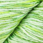 Herbs (408)